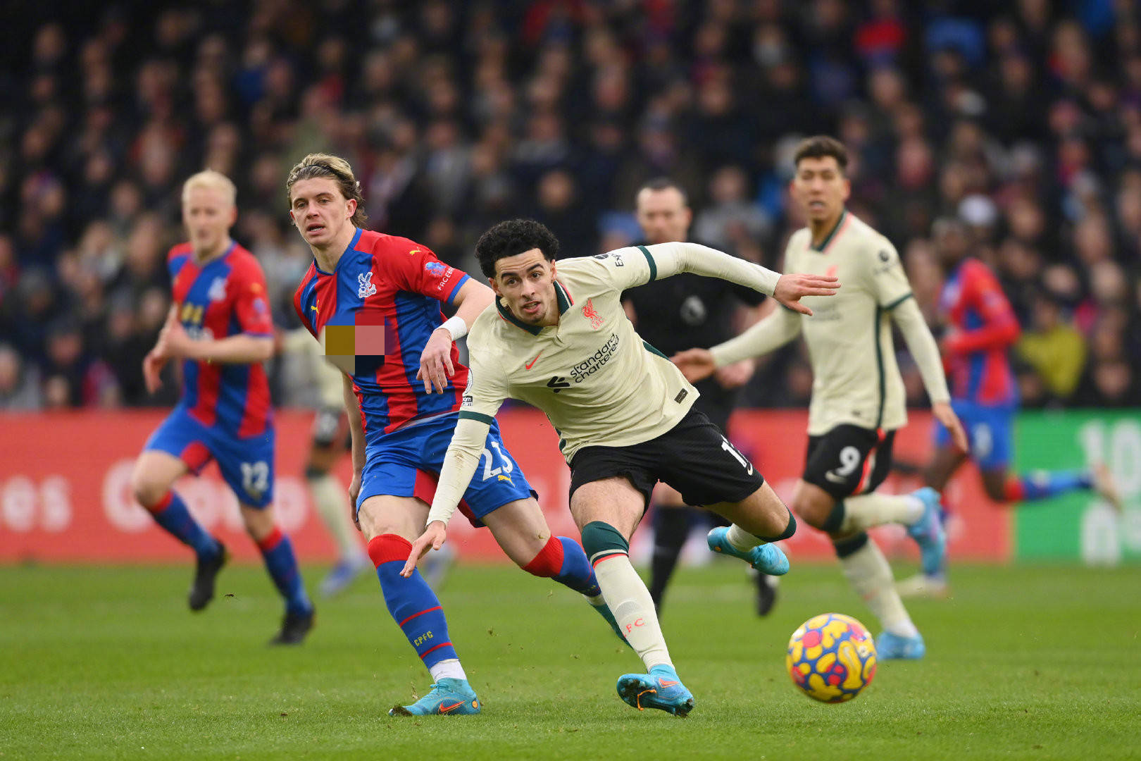 可争议的地 可争议的地